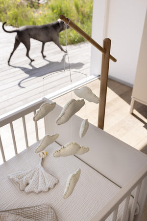 FORSALA - Órói með skýjum