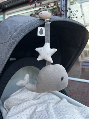 Waldo Pram Toy